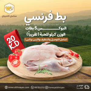 Image for product: بط فرنسي - البوكس 5 بطات 