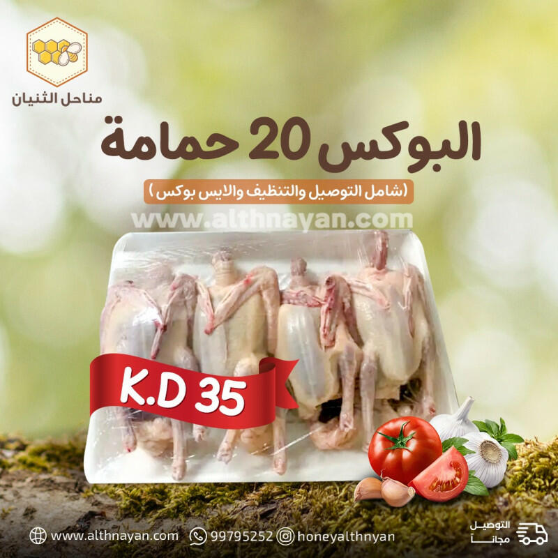 حمام - البوكس 20 حمامة  image 0