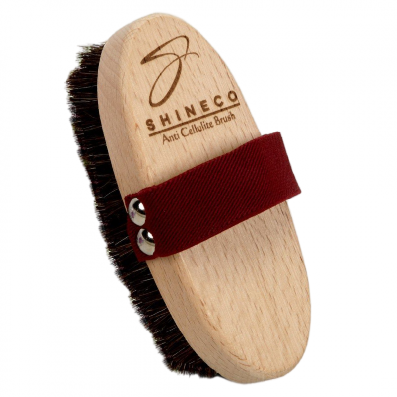 فرشاة تدليك السيلوليت من شعر الخيل الطبيعي SHINECO image 1