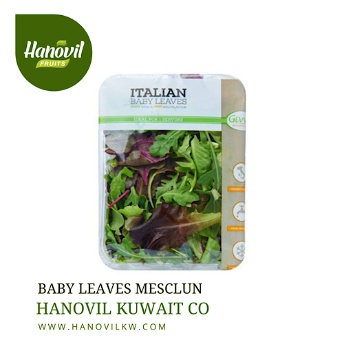BABY LEAVES MESCLUN image 0