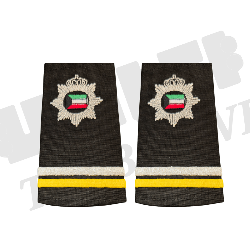  TBW Student Shoulder Board Ranks Silver & Yellow Stripes Color image 0