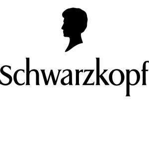 شوارزكوف بلسم الارجان والكرياتيين للشعر التالف brand