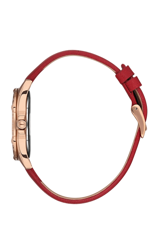DANIEL KLEIN Leather Red Women's Watch image 1