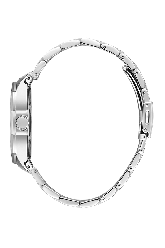 DANIEL KLEIN Steel Silver Men's Watch image 1