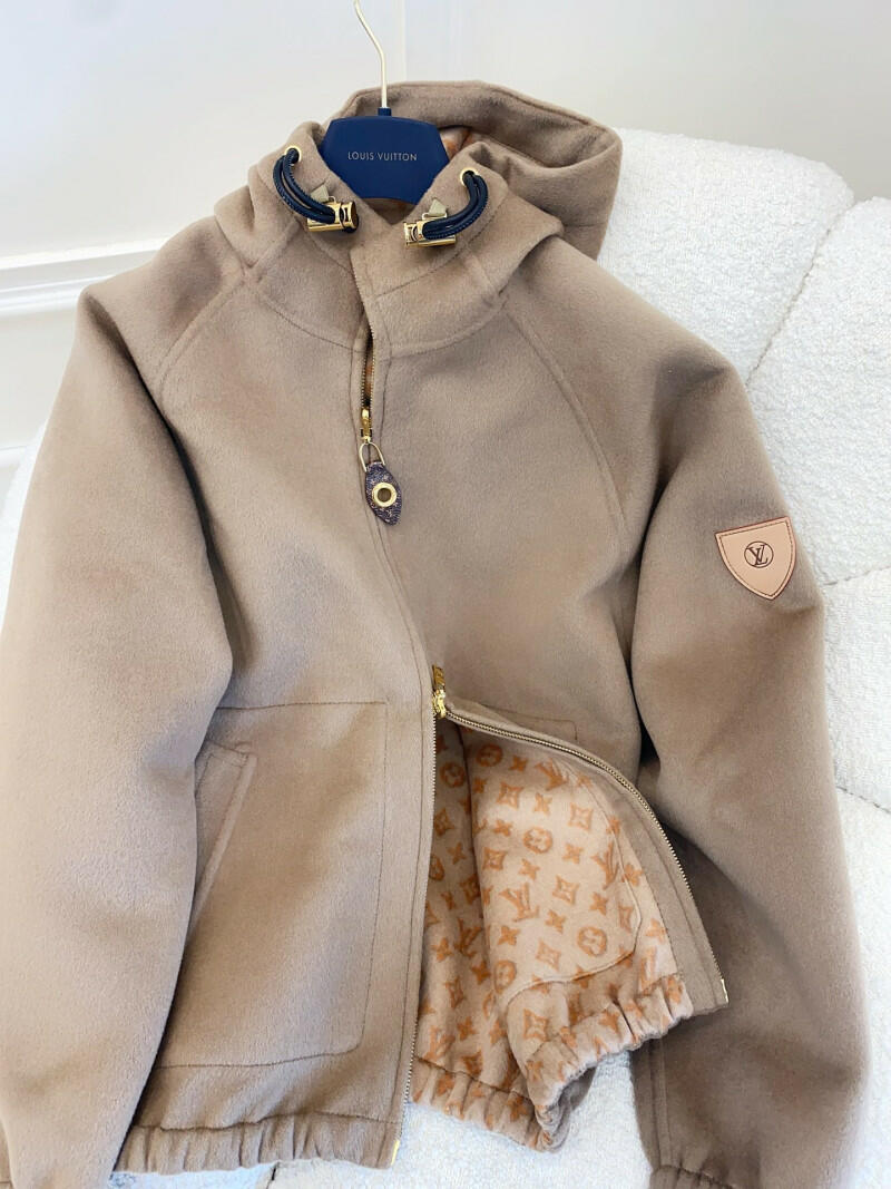 Louis Vuitton image 1