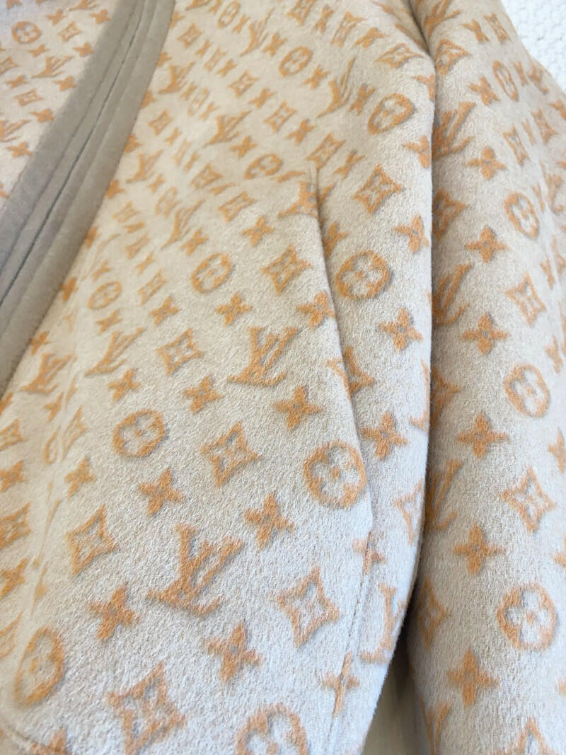 Louis Vuitton image 6