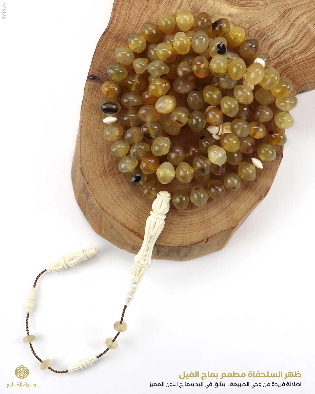 مسباح ظهر السلحفاة  image 0