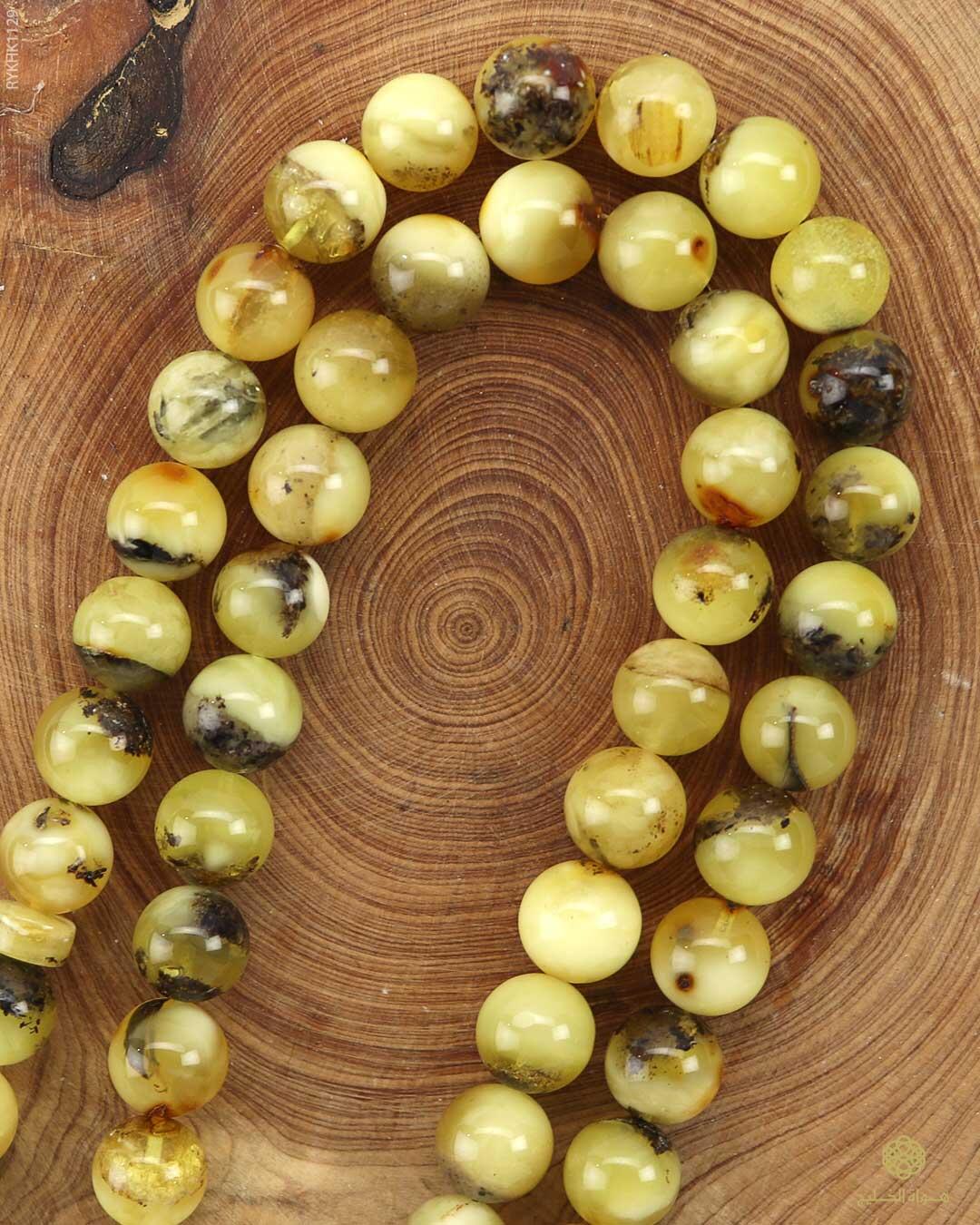 كهرمان كالينغرادي  image 1