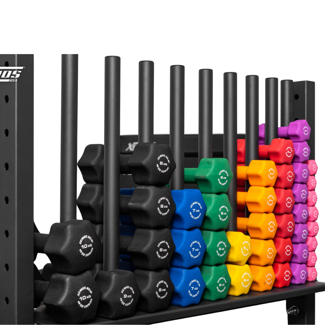 Fitness Dumbbell Rack - 10 slugs image 0