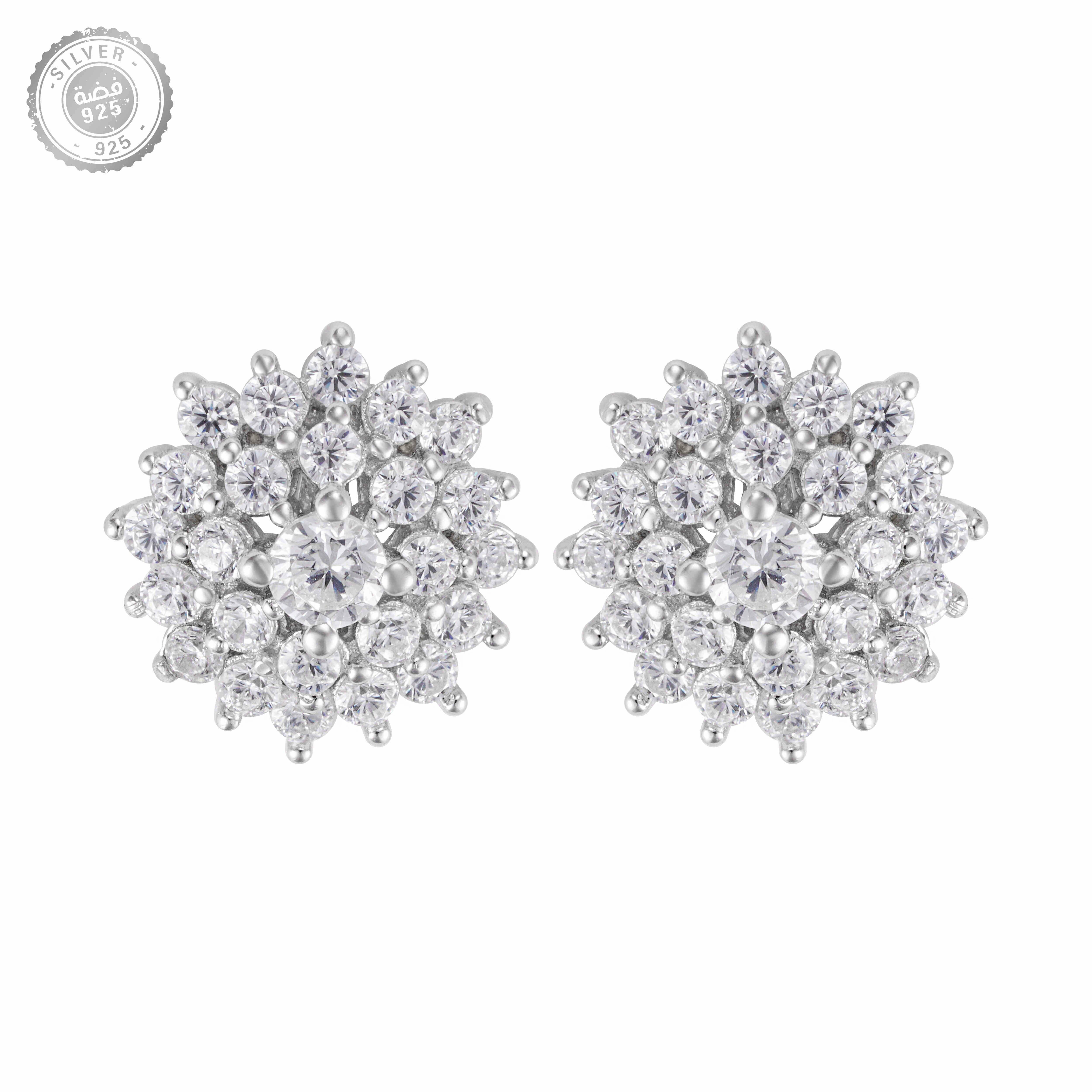 Sterling Silver Earrings - SIL1014-E image 0