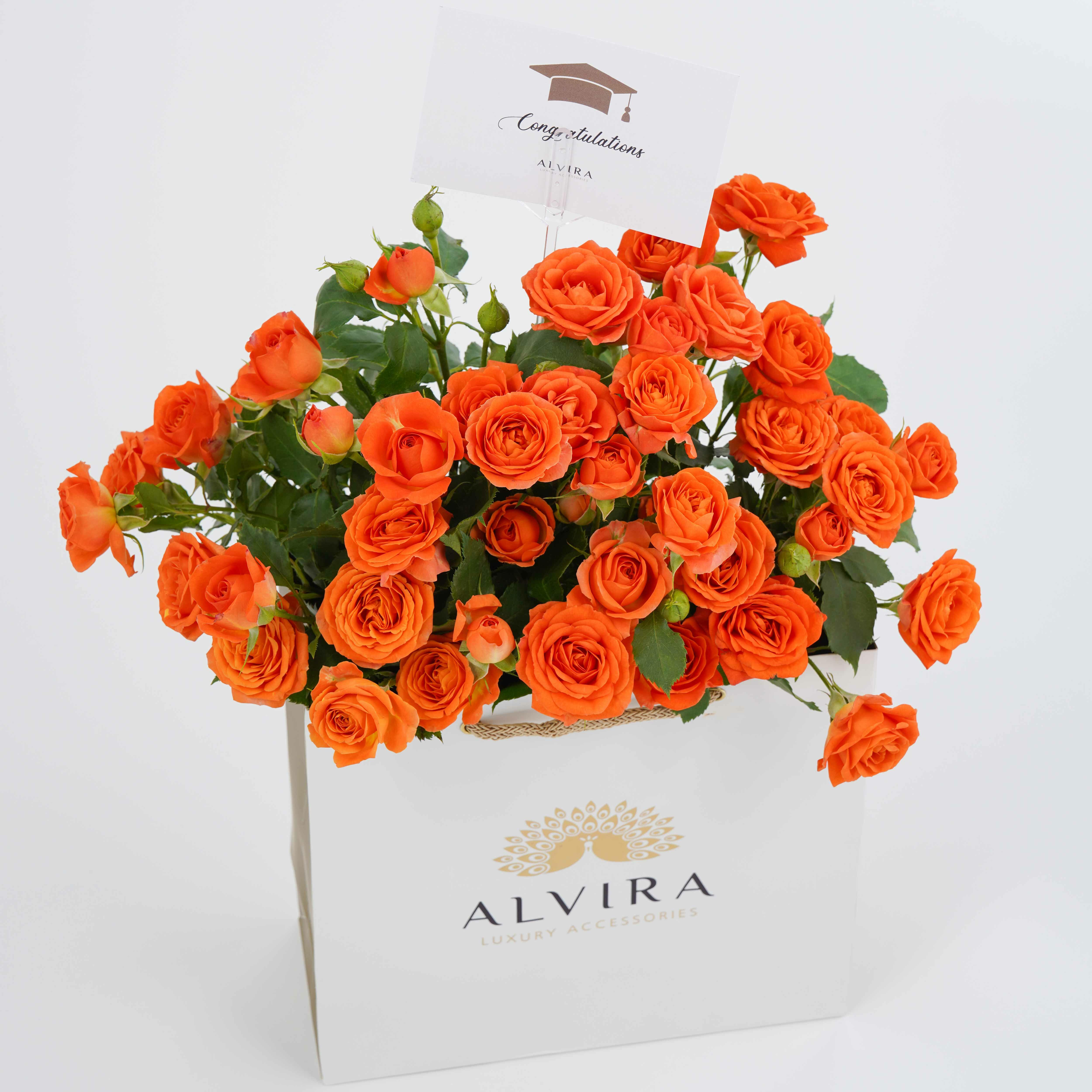 هدية عقد تشوكر ذهبي image 6