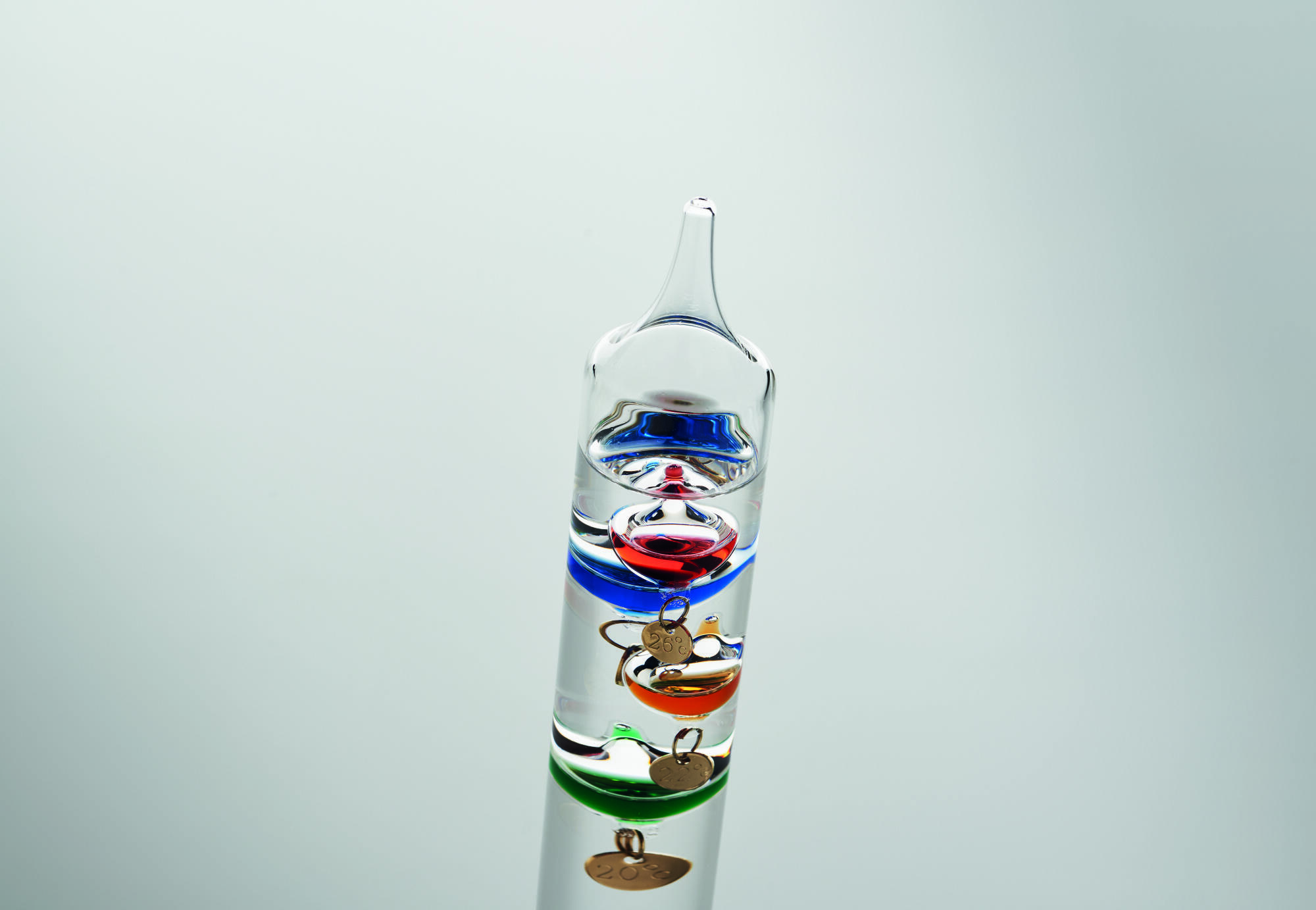 GALI - Transparent image 4