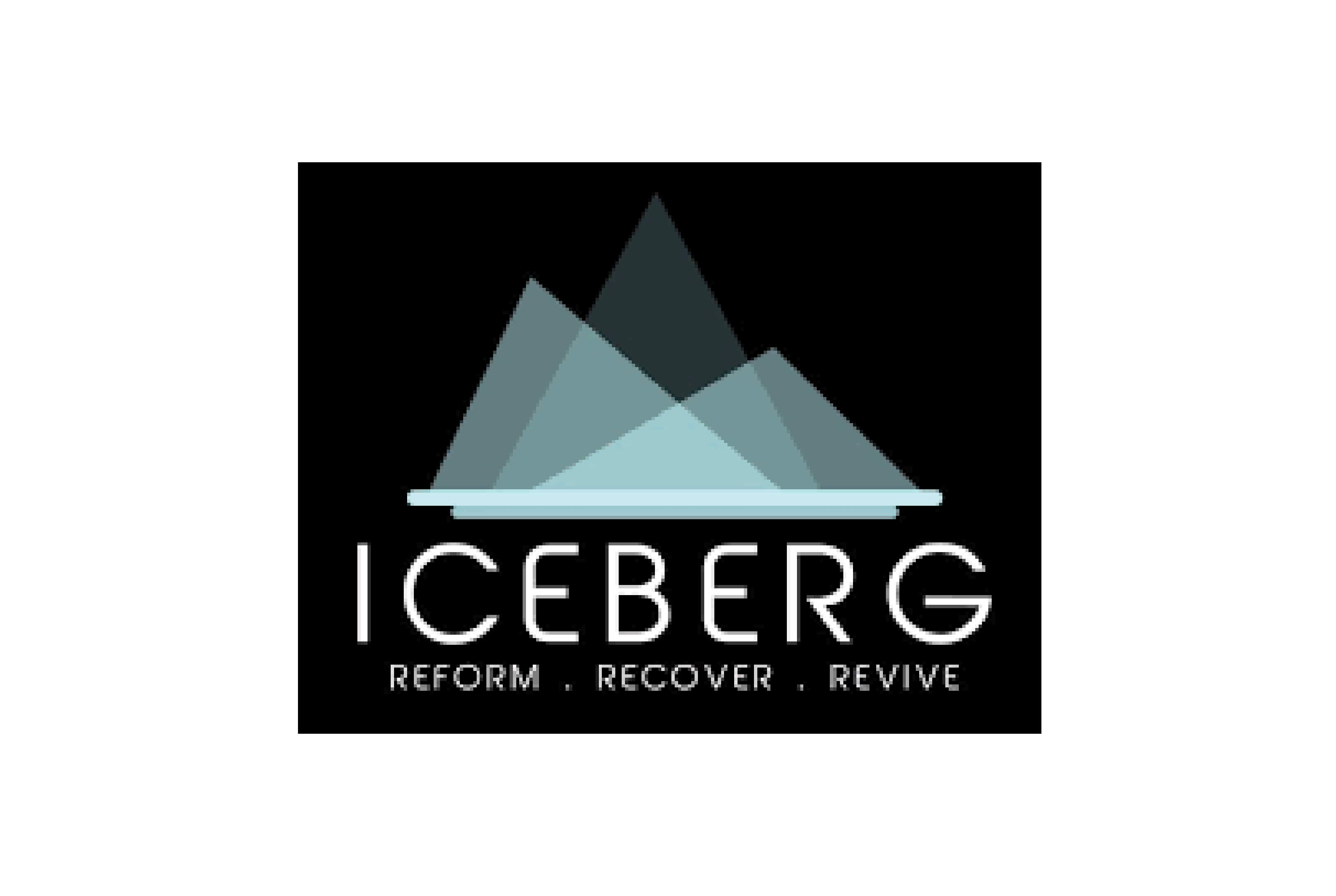 Exclusive partner logo 21