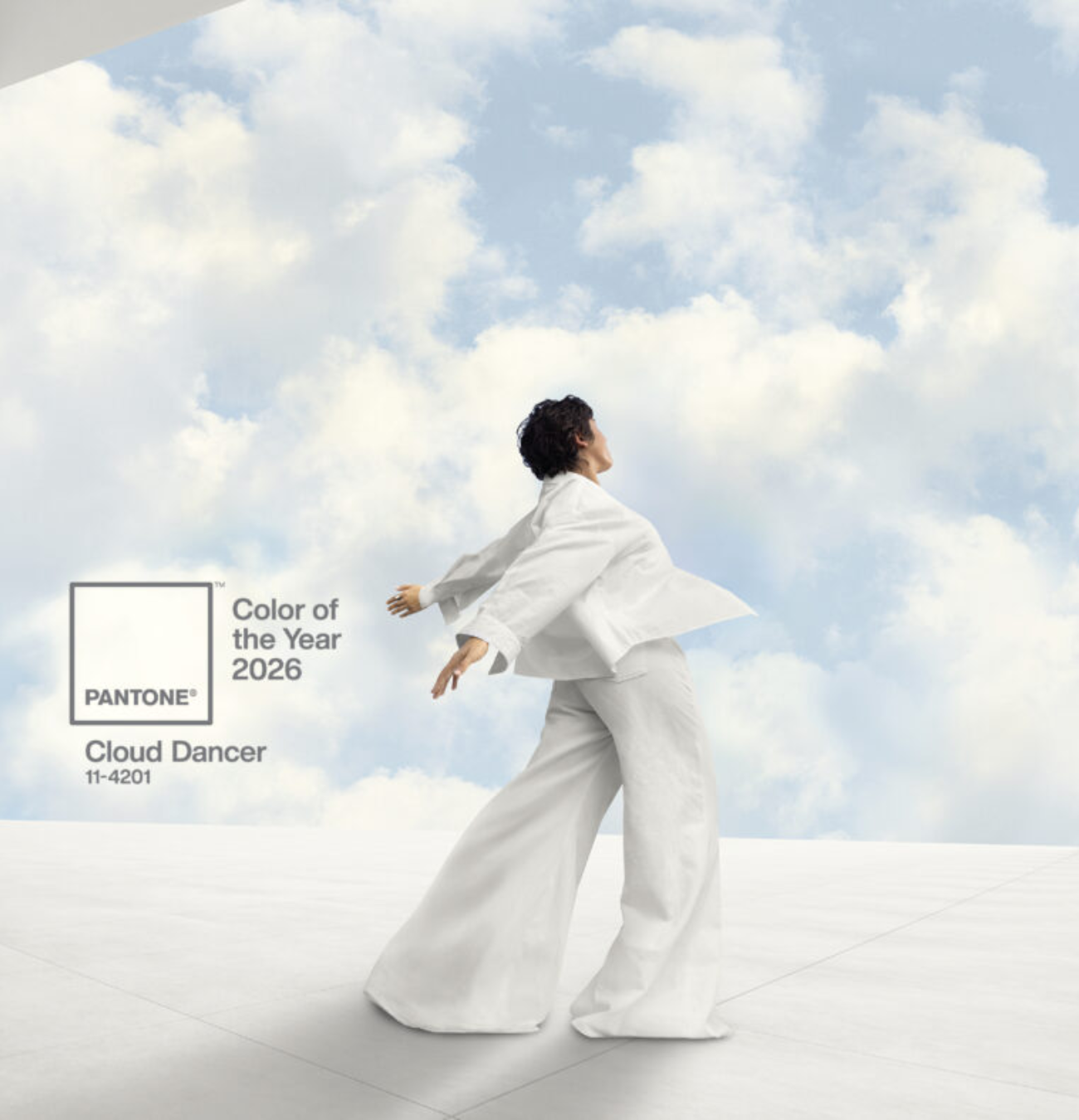 Cloud Dancer لون عام 2026 