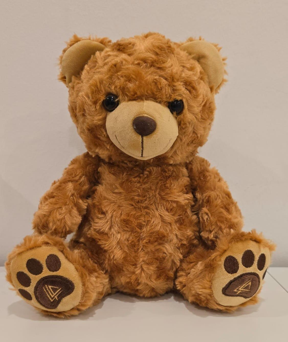 Solo Teddy Bear image 0