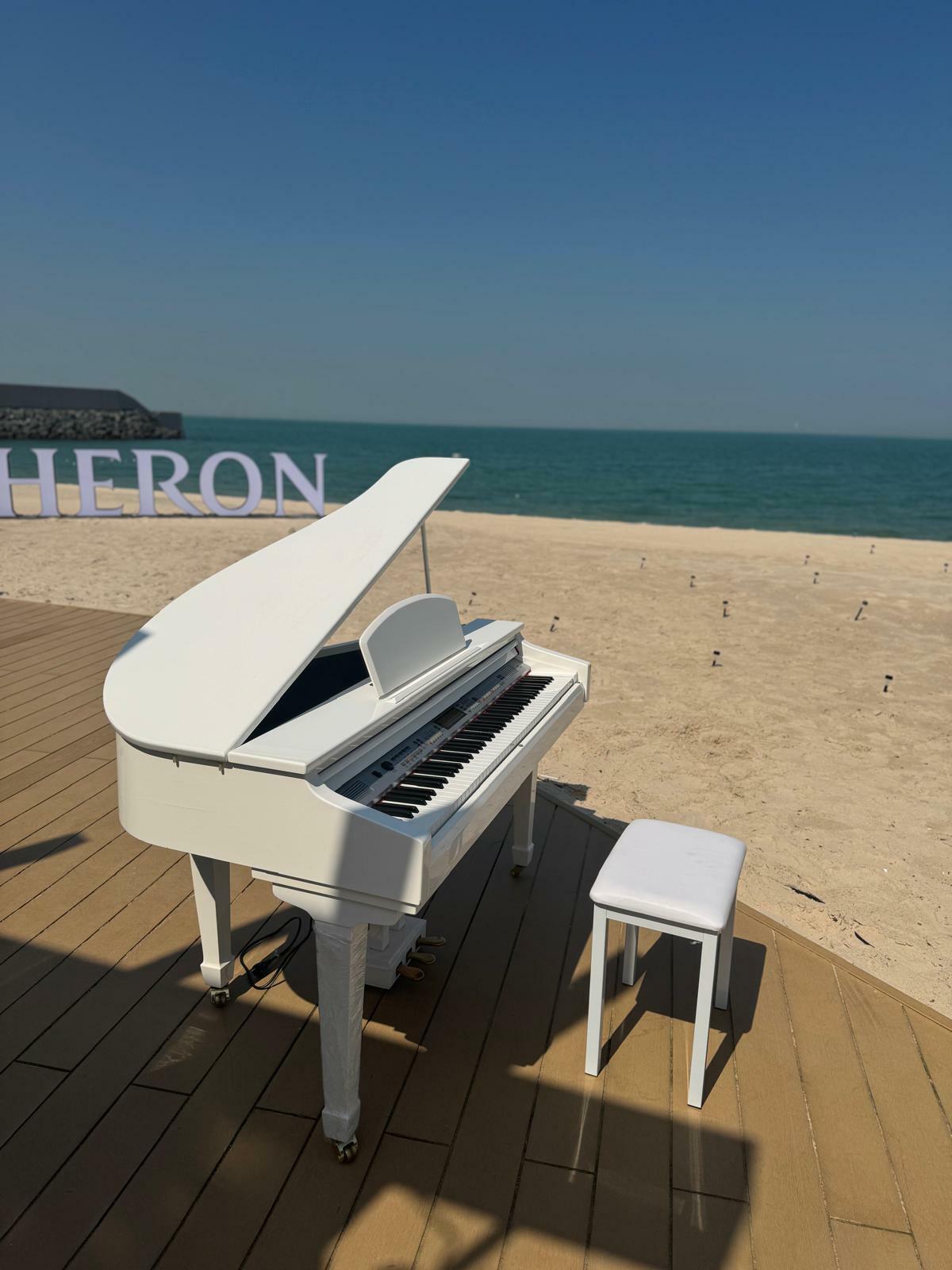 Digital baby Grand Piano image 1