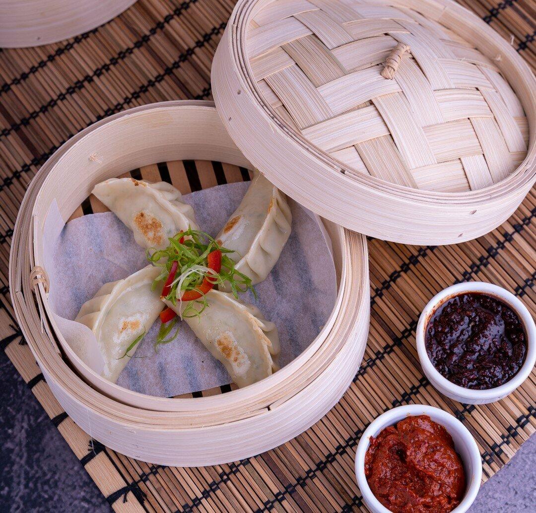 Chicken Gyoza image 0