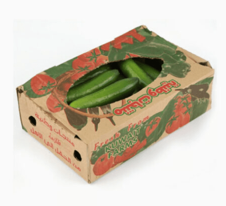 Cucumber cartoon / خيار فلين image 1