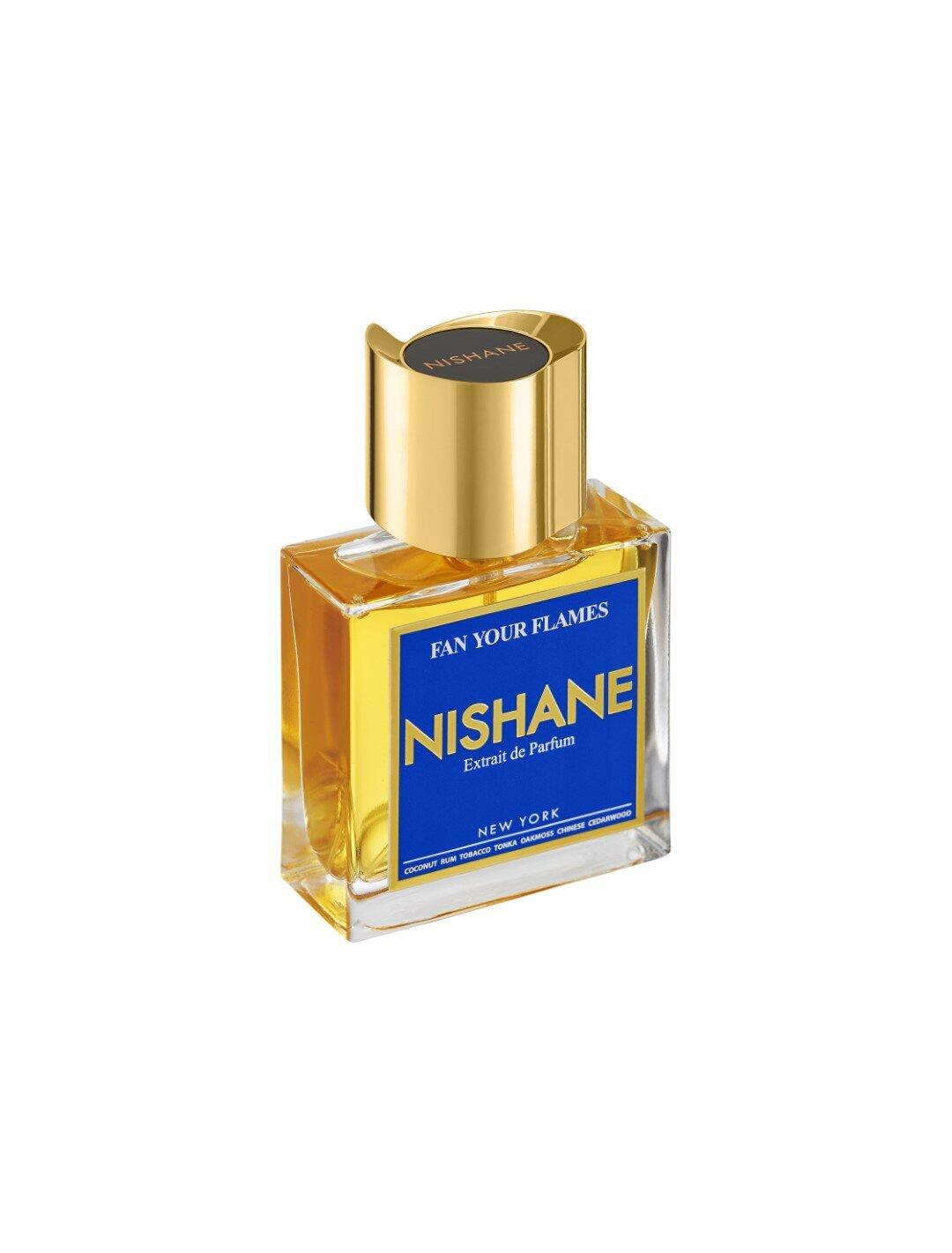 فان يور فلاميز image 2