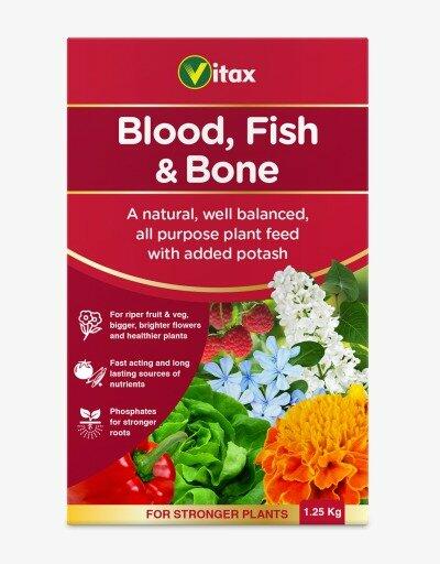 Blood fiesh &Bon image 0