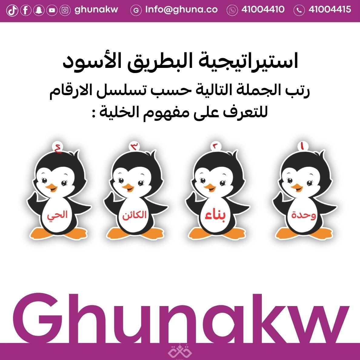 استيراتيجية الترتيب البطريق الأسود image 2