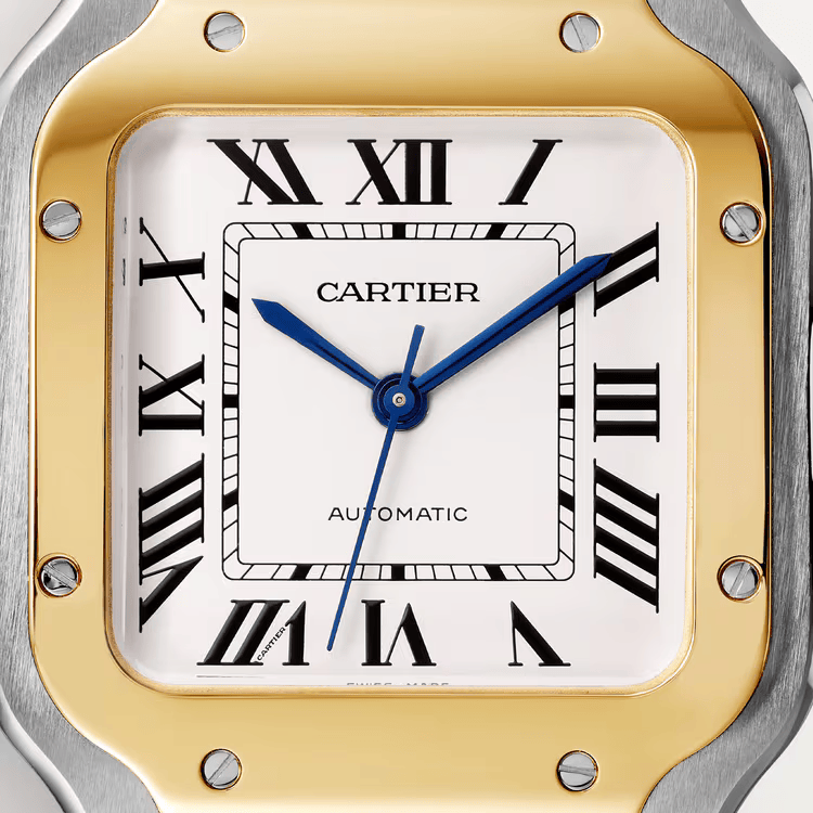 Cartier santos metal two tone white dial image 1