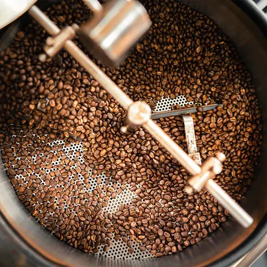 Roasting Process