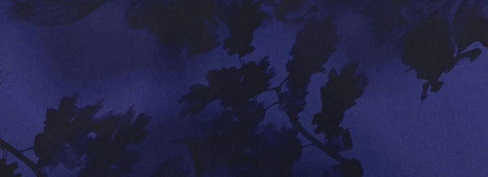 Sor -51-Navy Blue image 0