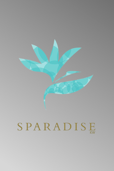 خدمات السبا