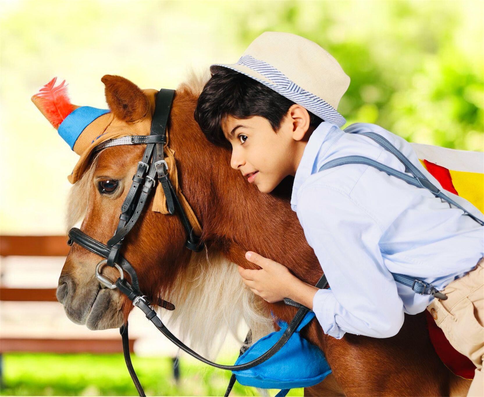 Pony Experience