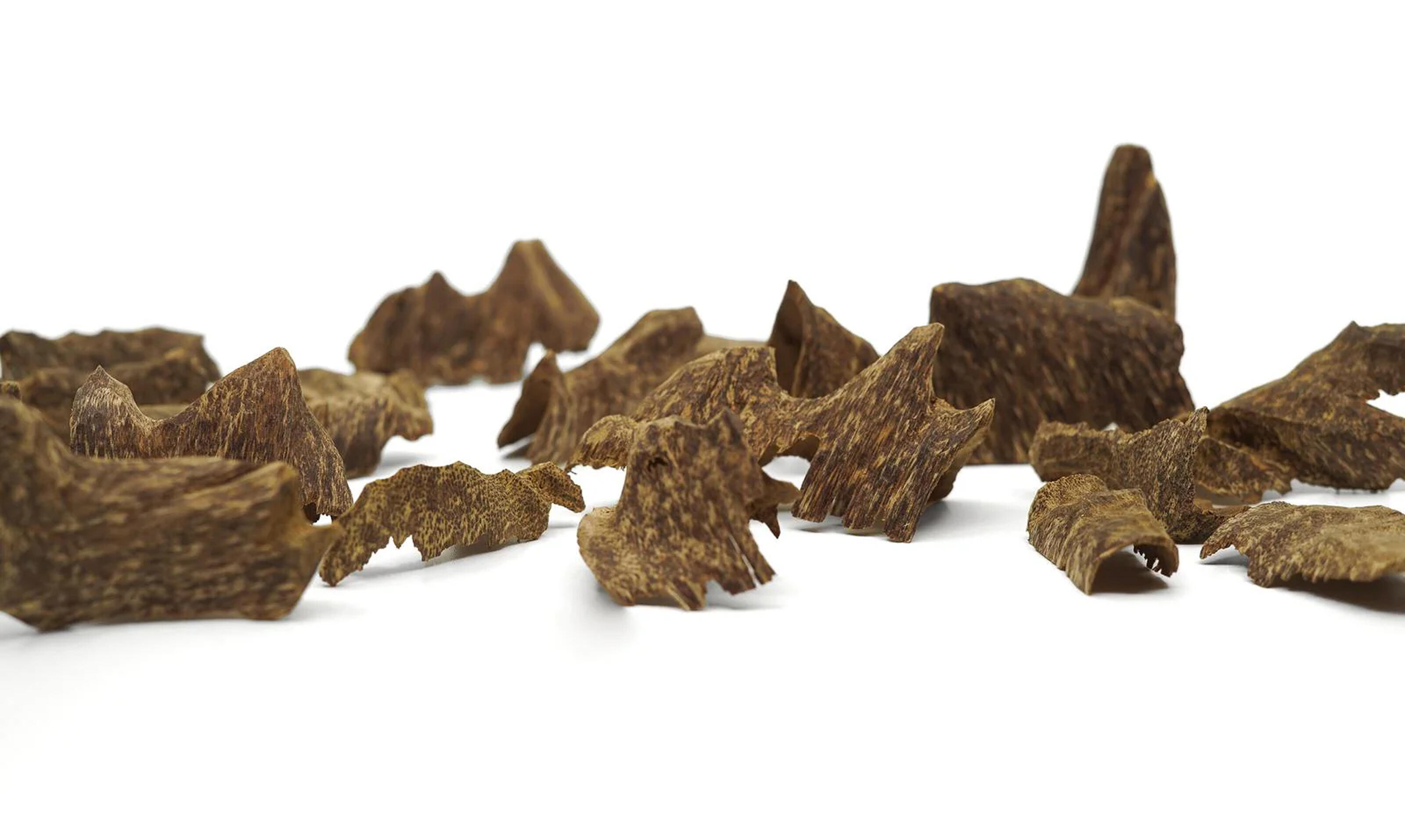 عاج العود للعطور الفاخرة