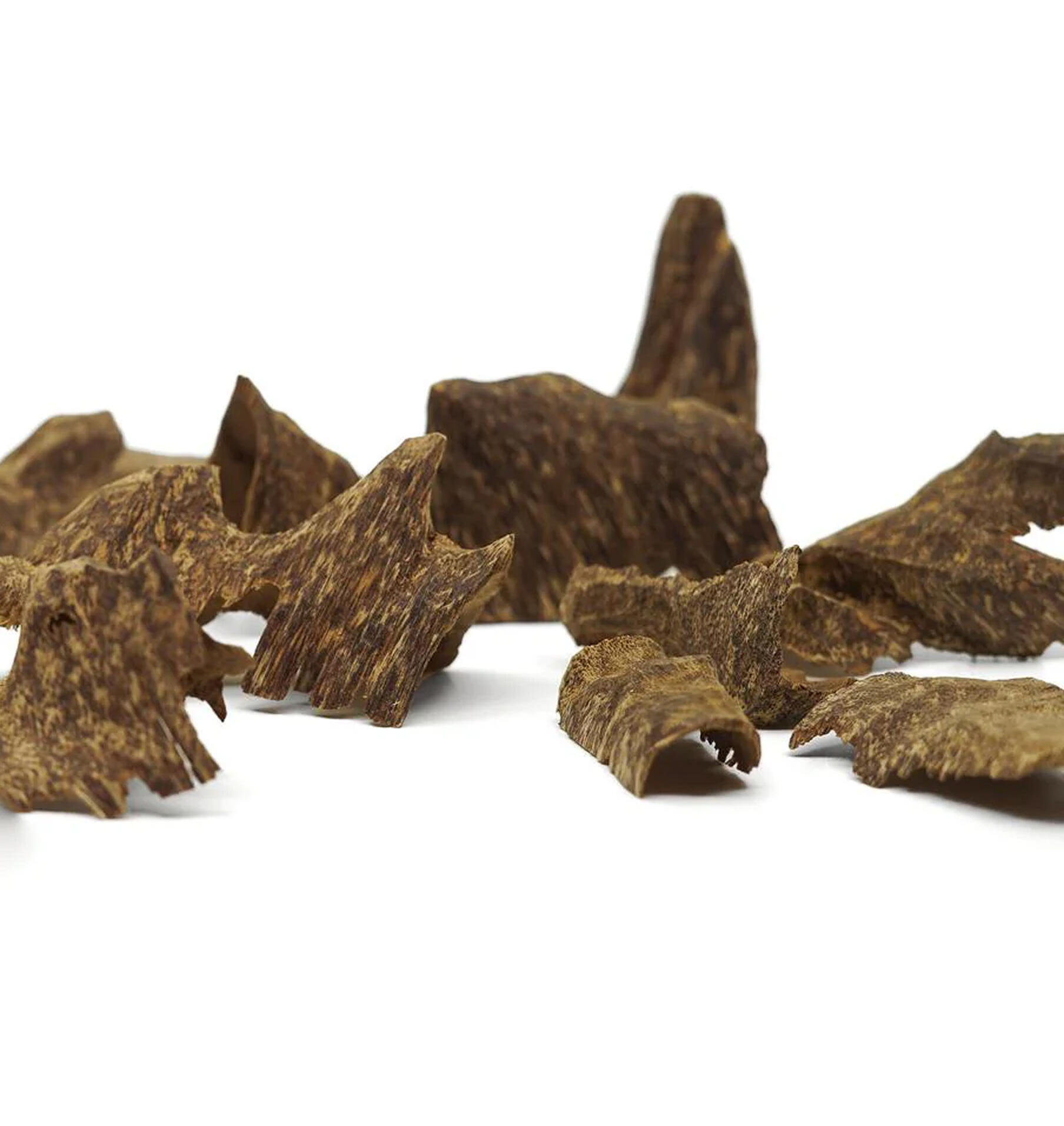 عاج العود - جوال