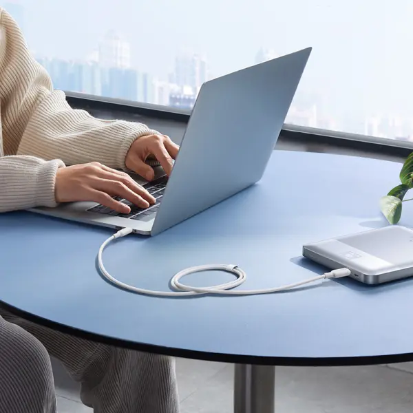Baseus Silky Series Fast Charging Cable Type-C to Type-C 100W 2m Moon White image 3