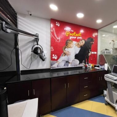 Heliopolis Branch Interior