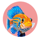 Aquarium