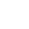 Fast Execution & Delivery